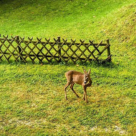Appartamento Art In Waldfrieden Semmering Esterno foto