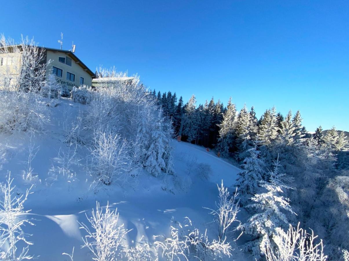 Appartamento Art In Waldfrieden Semmering Esterno foto