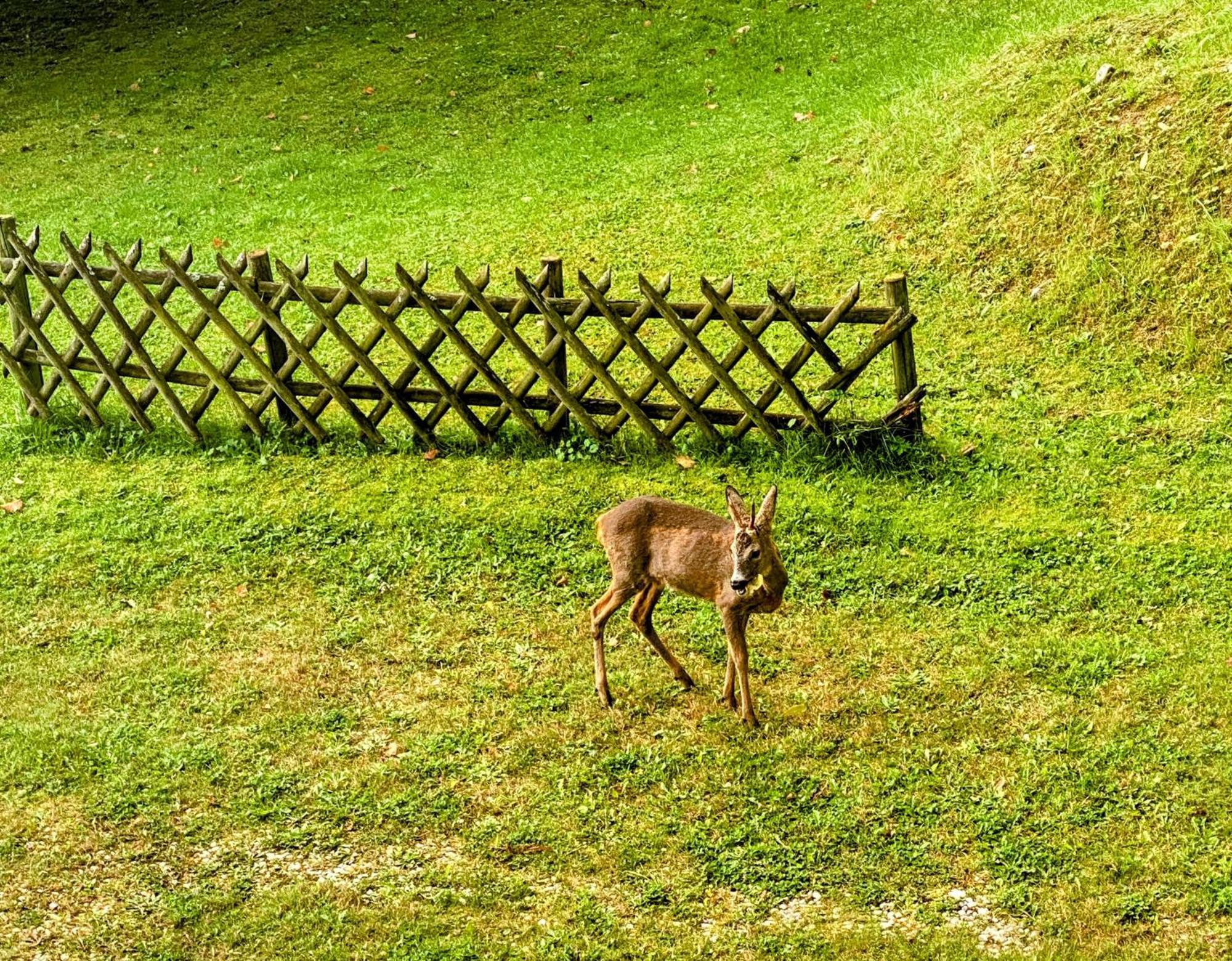 Appartamento Art In Waldfrieden Semmering Esterno foto