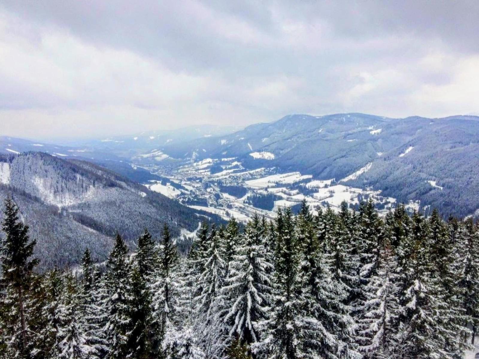 Appartamento Art In Waldfrieden Semmering Esterno foto