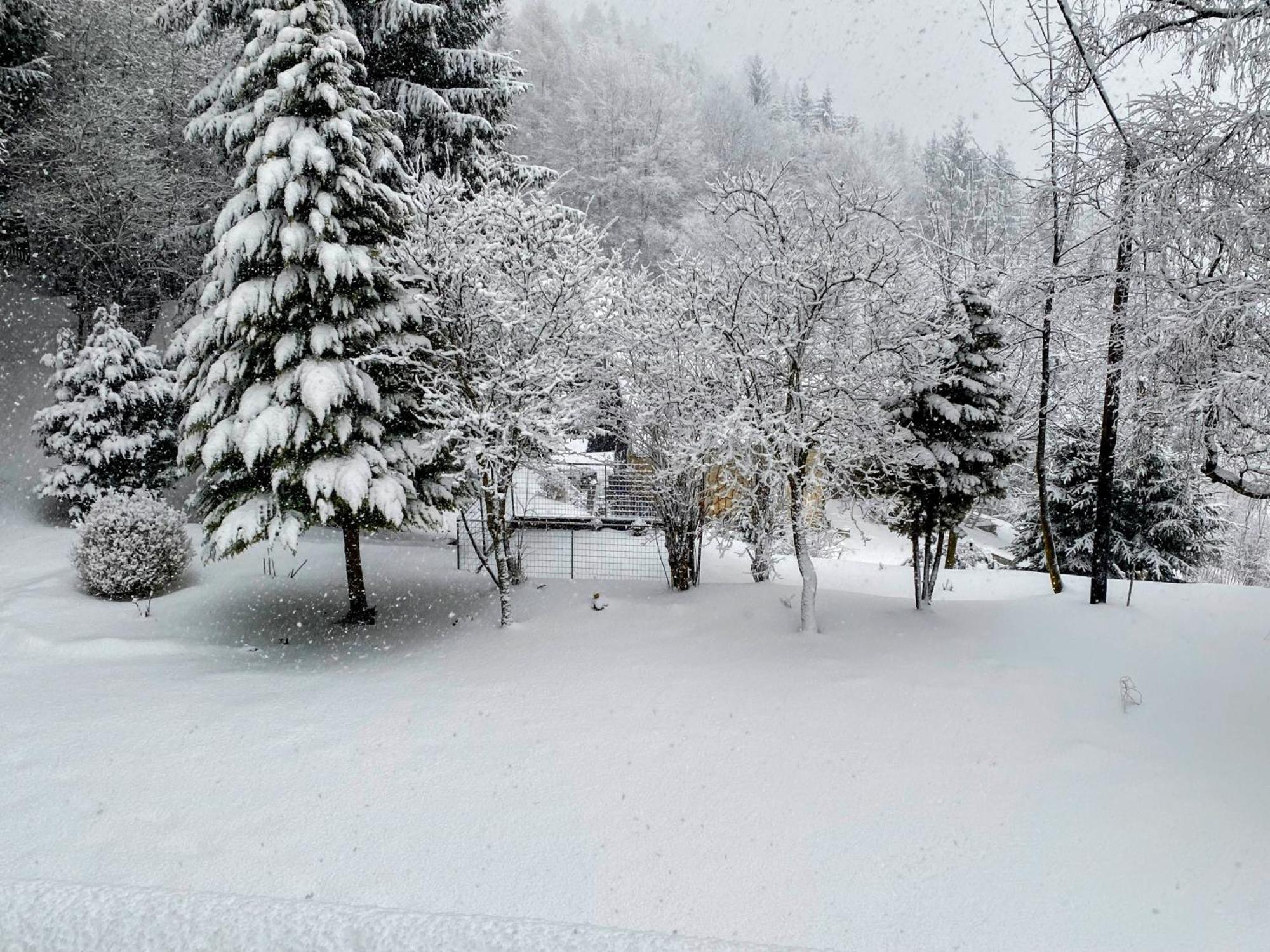 Appartamento Art In Waldfrieden Semmering Esterno foto